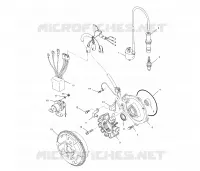 STATOR