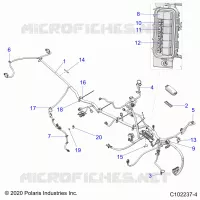 ELECTRICITE, HARNESS