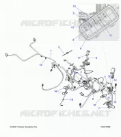 ELECTRICITE, HARNESS