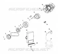 STATOR