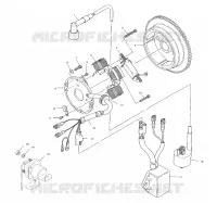 STATOR