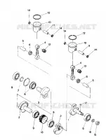 PISTON AND VILEBREQUIN SPORT (4914161416029A)