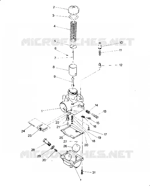 CARBURATEUR  STAR LITE (4918591859037A)
