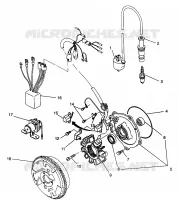 STATOR Magnum 6X6 W968744 and Magnum 6X6 Swedish S968744 (4936073607E003)