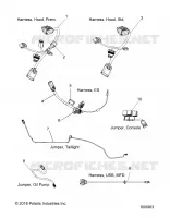 ELECTRICAL, JUMPERS/FAISCEAU ELECTRIQUE
