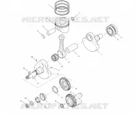 VILEBREQUIN AND PISTON