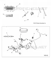 ELECTRICITE, HARNESS