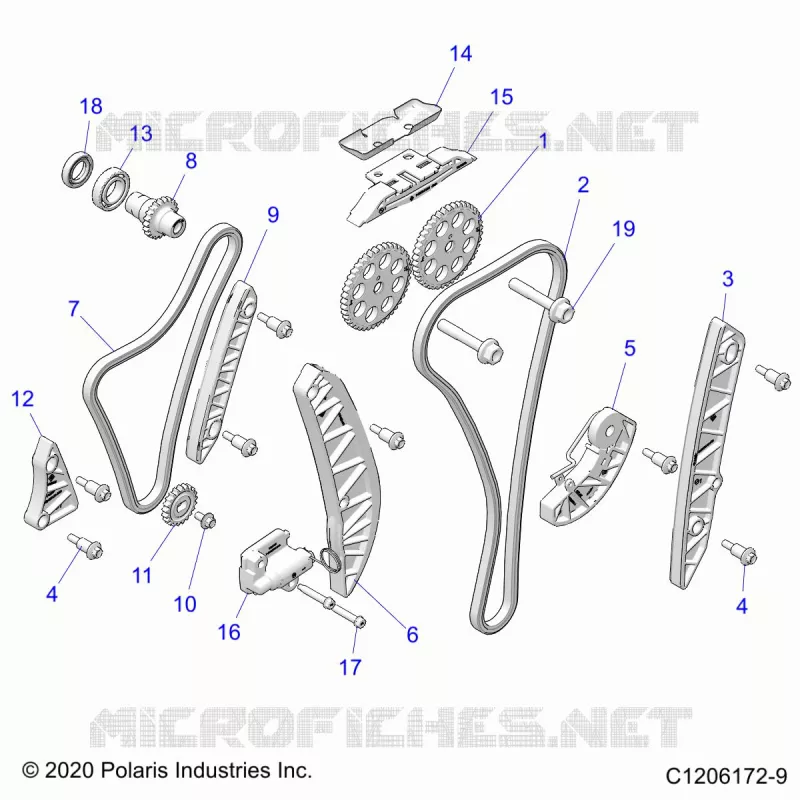 ENGINE, TIMING AND OIL CHAINE DRIVES