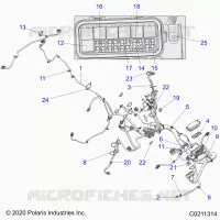 ELECTRICITE, HARNESS