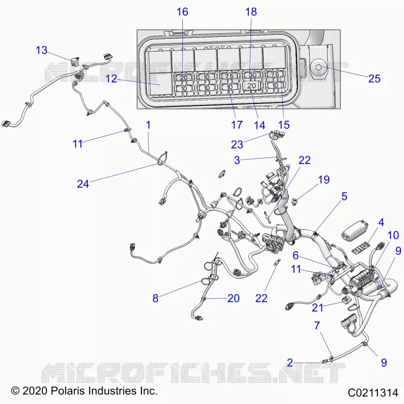 ELECTRICITE, HARNESS