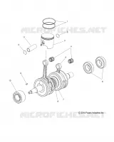 ENGINE, PISTON AND VILEBREQUIN