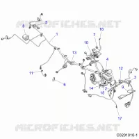 ELECTRICITE, HARNESS