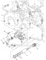 POMPE A HUILE 600 XCR 0985677 (4943164316D002)