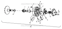 EMBRAYAGE DE TRANSMISSION