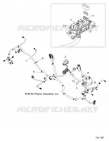 ELECTRICITE, WIRE HARNESS