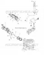 CORPS DE PAPILLON and INJECTOR