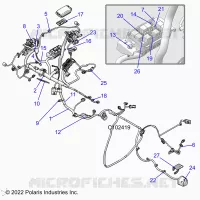 ELECTRICITE, HARNESS