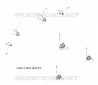 AMPOULES