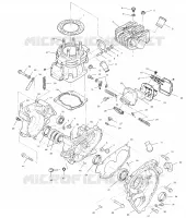 CARTERS MOTEUR AND CYLINDRE (SPORT)