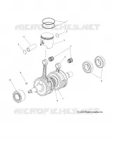 ENGINE, PISTON AND VILEBREQUIN