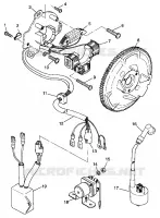 STATOR