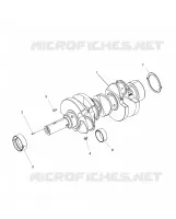 MOTEUR, VILEBREQUIN