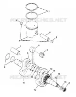 VILEBREQUIN AND PISTON