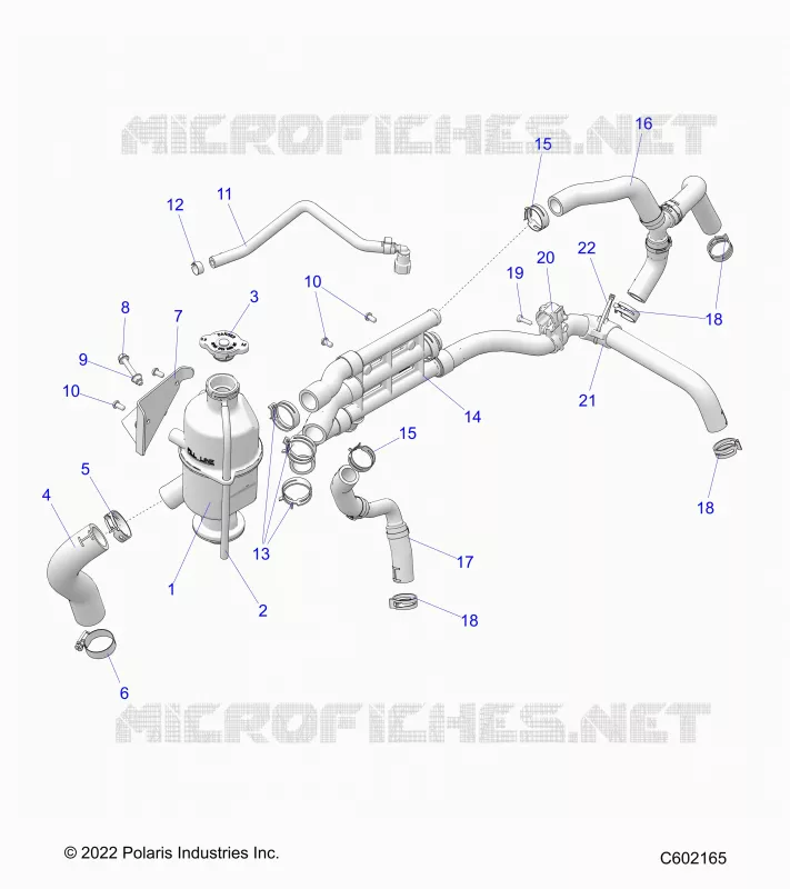 ENGINE, VASE D'EXPANSION AND HOSES