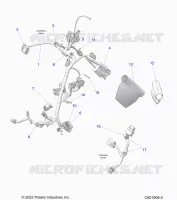 ELECTRICITE, WIRE HARNESS