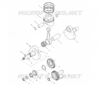 VILEBREQUIN AND PISTON