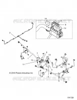 ELECTRICITE, HARNESS