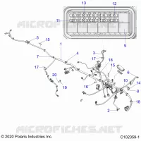 ELECTRICITE, HARNESS