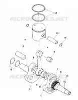 VILEBREQUIN AND PISTON ASSEMBLY (4913501350032A)