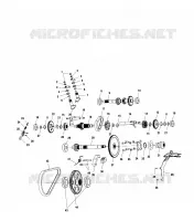 PONT (INTERNAL COMPONENTS)