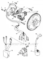 STATOR