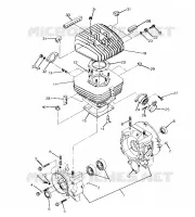 CARTERS MOTEUR AND CYLINDRE 250 4X4 / W928127 (4922872287C013)