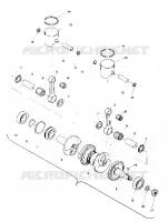 PISTON AND VILEBREQUIN (TRAIL) (4909500950033A)