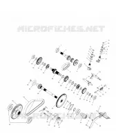 PONT (Internal Components)