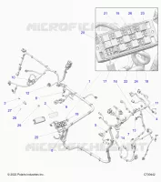 ELECTRICITE, WIRE HARNESS