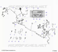 ELECTRICITE, WIRE HARNESS