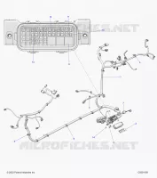 ELECTRICITE, WIRE HARNESS