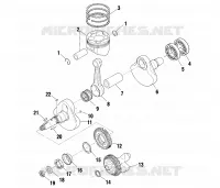 VILEBREQUIN AND PISTON