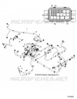 FAISCEAU ELECTRIQUE
