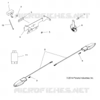CLIGNOTANTSS and HORN