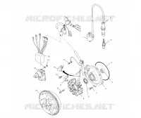 STATOR