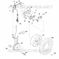 STATOR