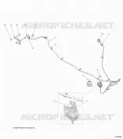 ELECTRICITE, ACCESSORY HARNESS