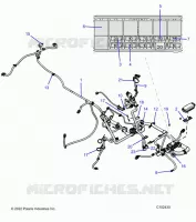 ELECTRICITE, HARNESS