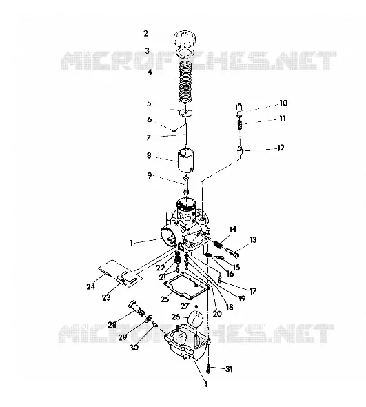 CARBURATEUR STAR LITE (4921332133038A)
