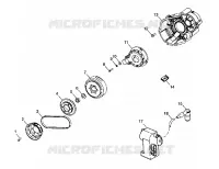 STATOR
